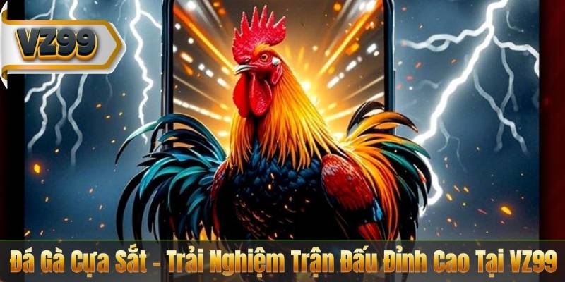 Đá Gà Cựa Sắt – Trải Nghiệm Trận Đấu Đỉnh Cao Tại VZ99 3 Đá Gà Cựa Sắt – Trải Nghiệm Trận Đấu Đỉnh Cao Tại VZ99
